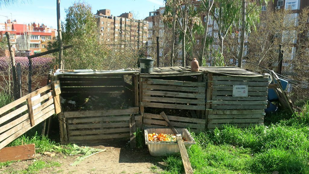Un mes sin residuos orgánicos