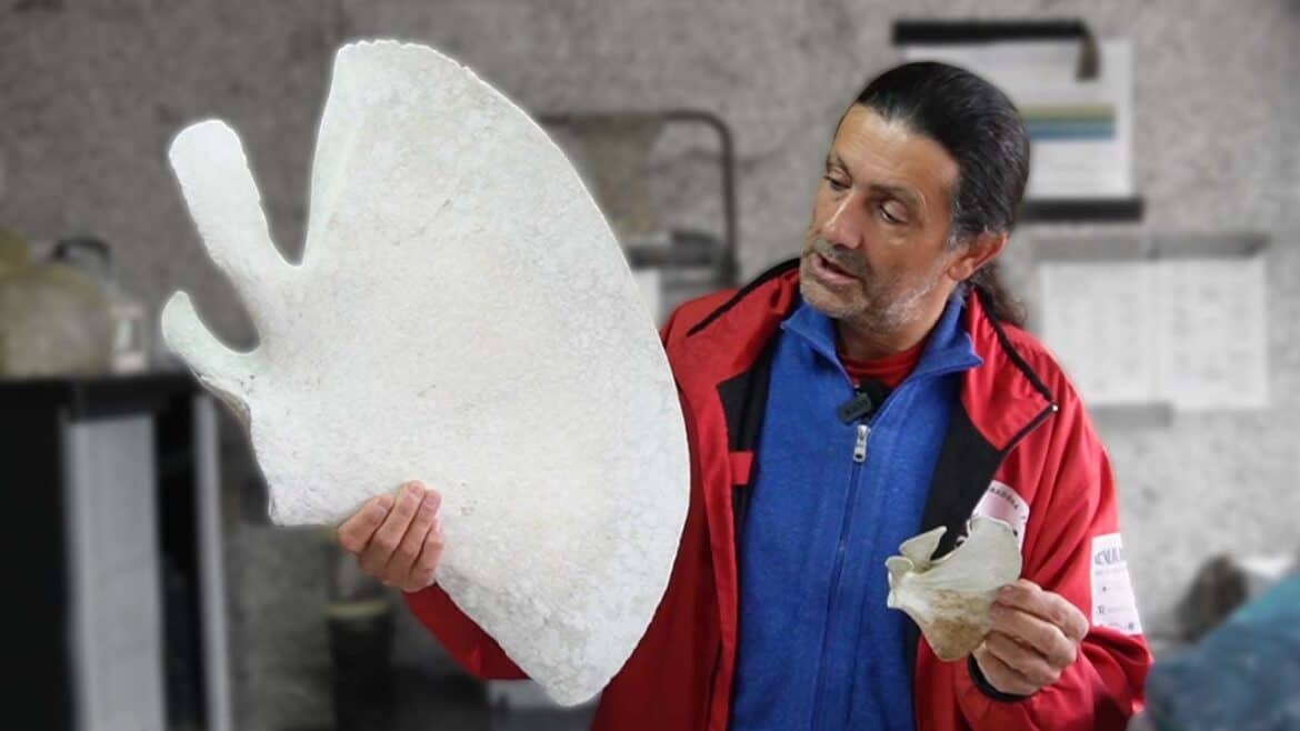 Alfredo López sujetando un hueso de ballena en sus manos.