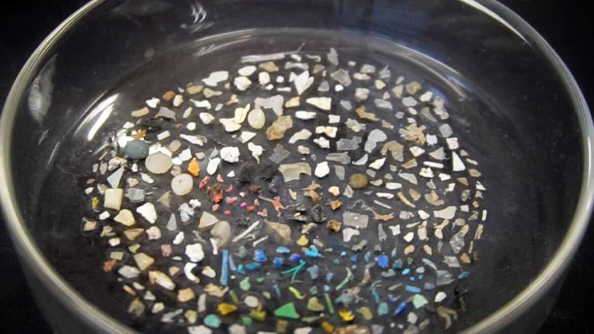 Cómo se analizan los microplásticos en el laboratorio Microplásticos en el laboratorio