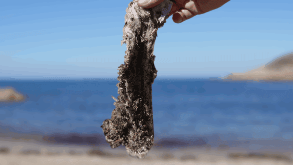 La playa más sucia de A Coruña