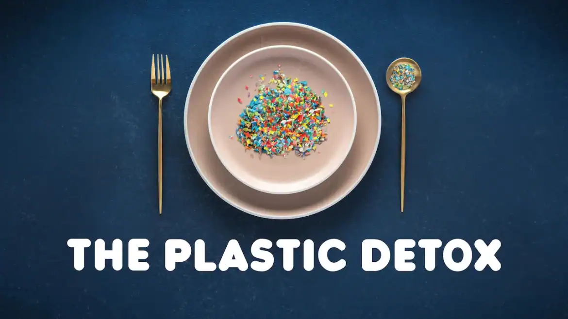 Un plato lleno de fragmentos de plástico de colores se coloca entre un tenedor y una cuchara, con el texto "THE PLASTIC DETOX" debajo sobre un fondo azul oscuro: perfecto para un encuentro en línea o como inspiración en libros recomendados sobre sostenibilidad.