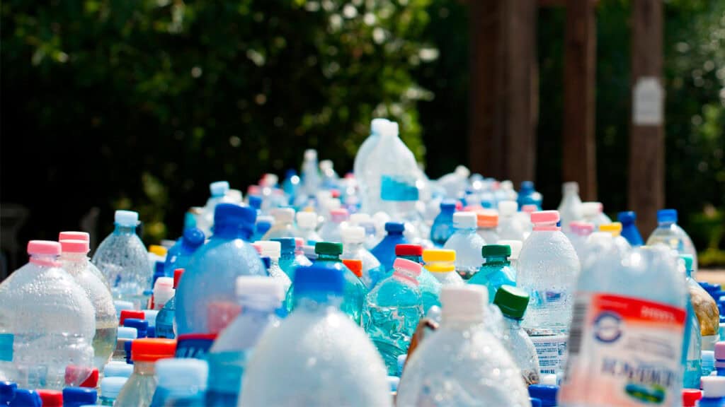Un gran grupo de botellas de plástico vacías, de distintos tamaños y colores —muchas de las cuales muestran el uso de plástico reciclado en envases para alimentos—, está dispuesto al aire libre, con vegetación y postes de madera visibles al fondo.