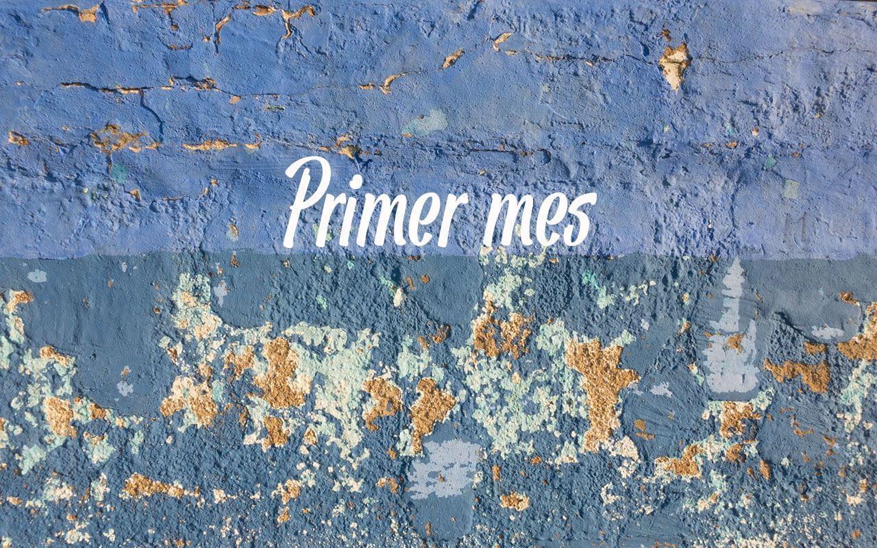 Conclusiones de nuestro primer mes viviendo sin plástico